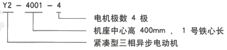 YR系列(H355-1000)高压YRKK5001-6三相异步电机西安西玛电机型号说明